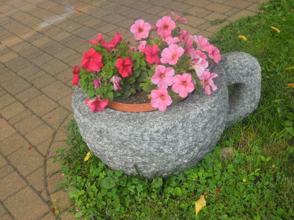 Il Nido Del Merlo Parcheggio E Giardino Verbania Luaran gambar